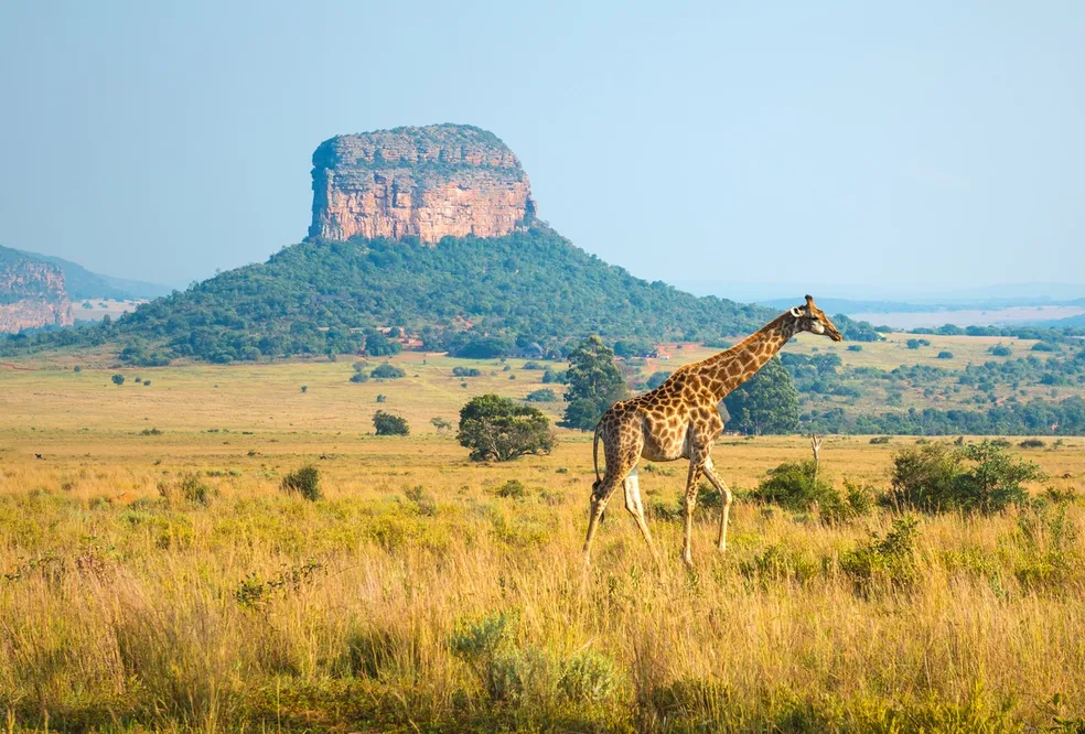Tourism cultural experience